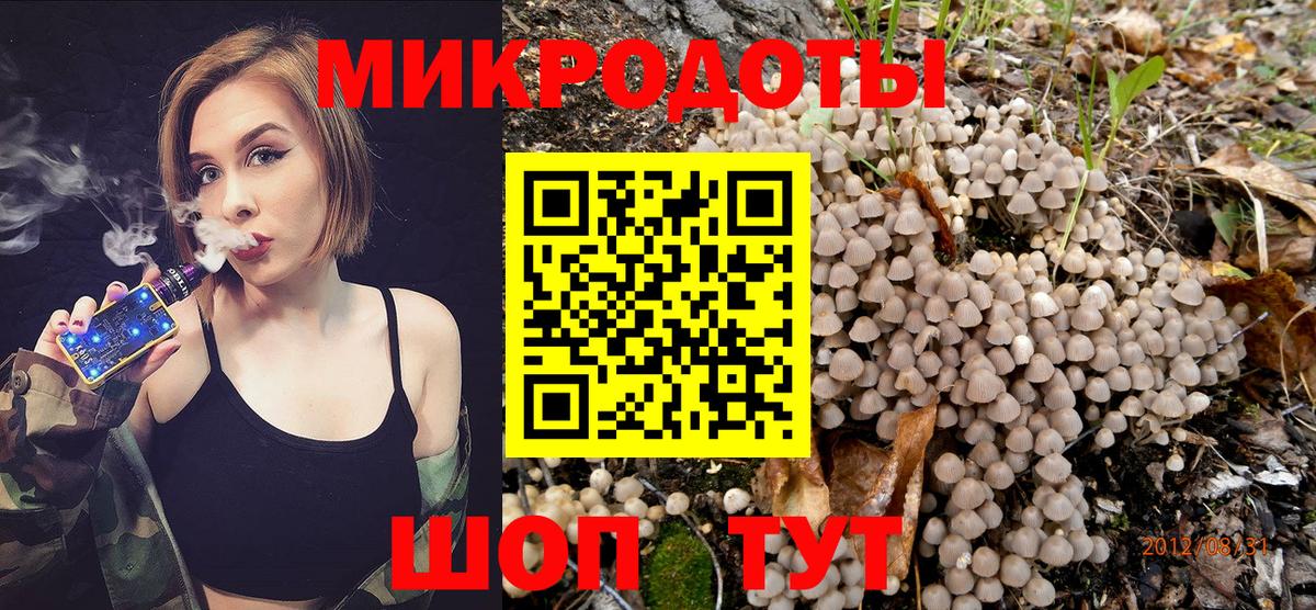 как найти наркотики  Псилоцибиновые грибы прущие грибы  Вход с VPN  Зеленодольск 